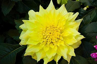 《城堡毁灭者》十几年后突然迎来大规模DLC更新